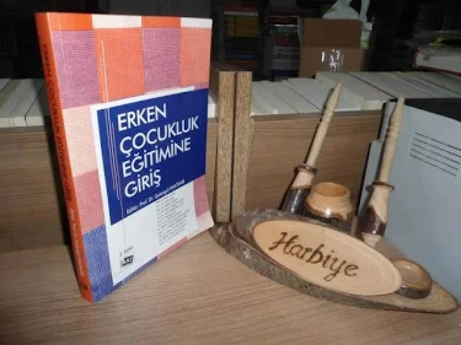 Erken Çocukluk Eğitimine Giriş