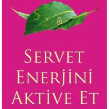 Servet Enerjini Aktive Et