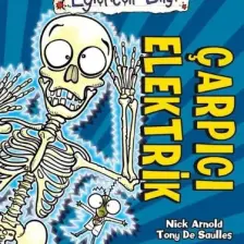 Çarpıcı Elektrik