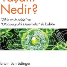 Yaşam Nedir?