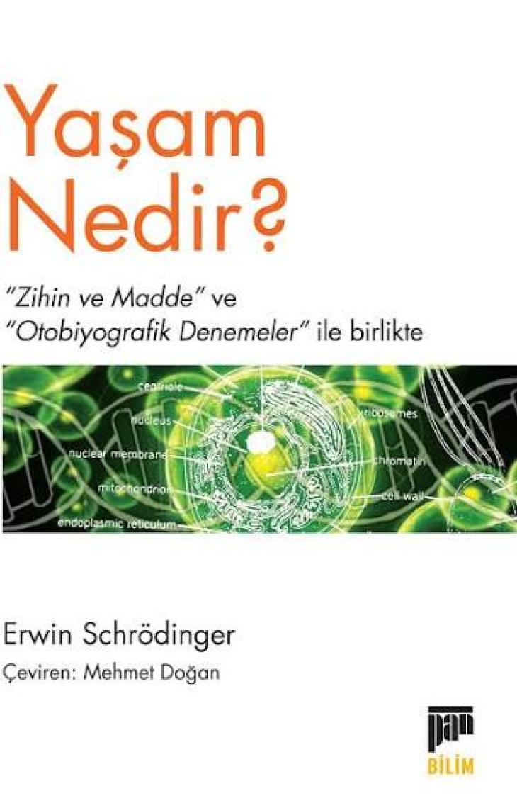 Yaşam Nedir?