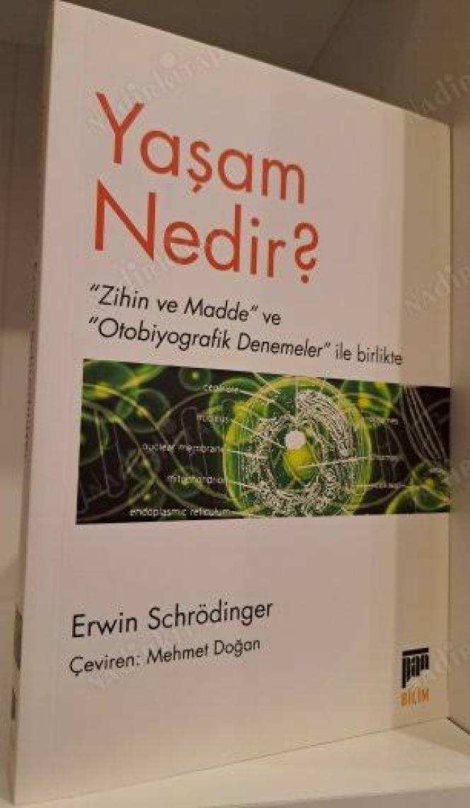 Yaşam Nedir?