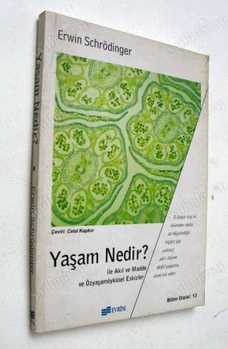 Yaşam Nedir?