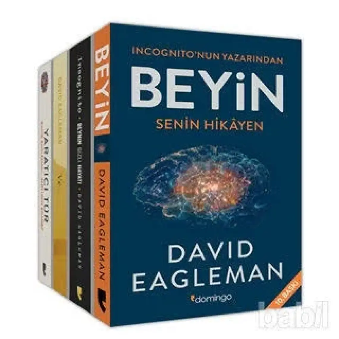 David Eagleman Seti (4 Kitap Takım) -  David Eagleman