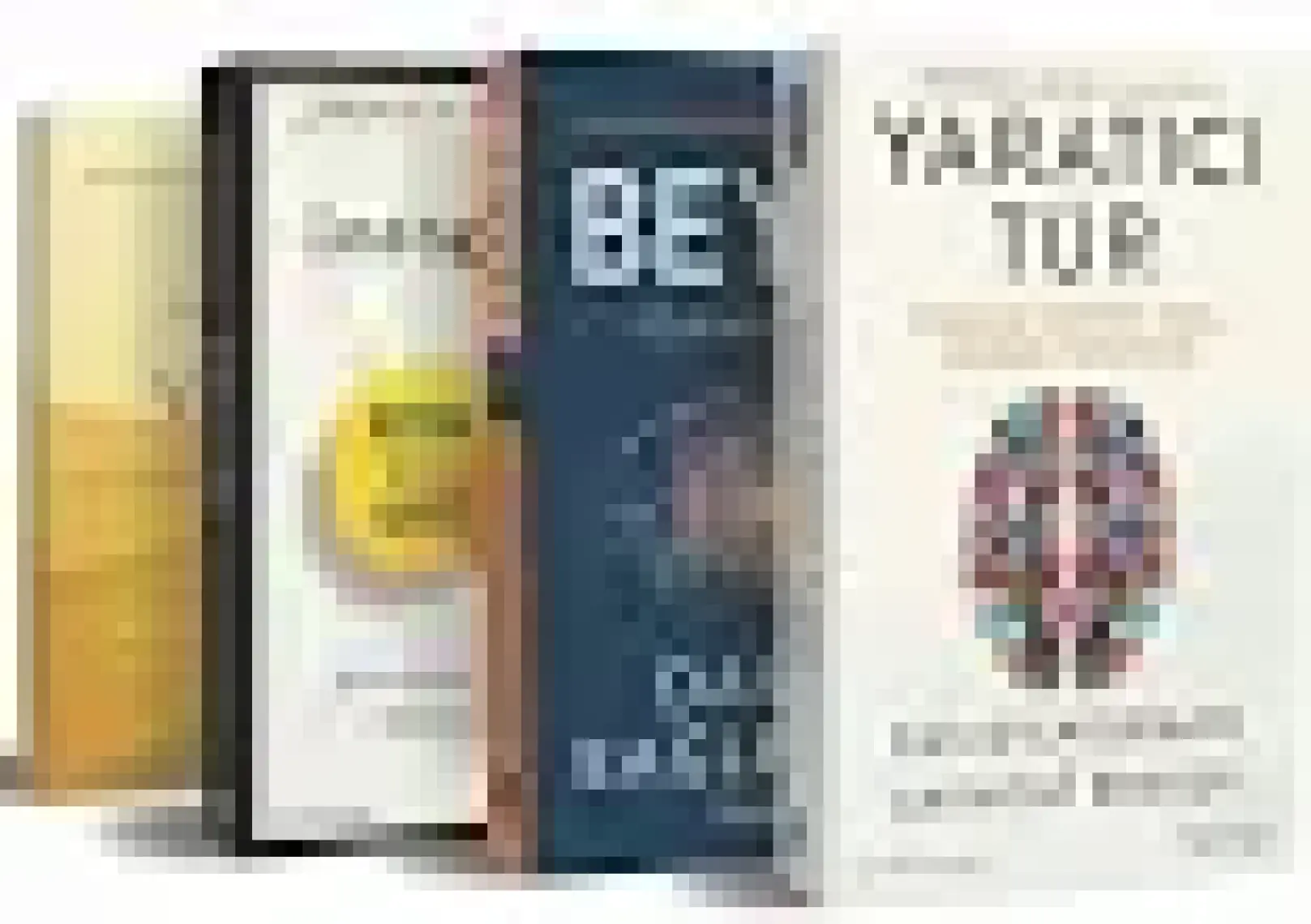 David Eagleman Seti (4 Kitap Takım) -  David Eagleman