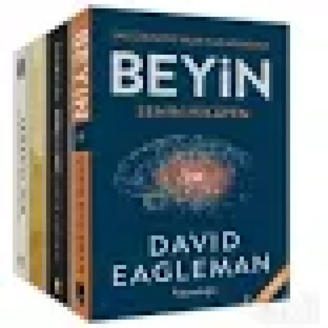David Eagleman Seti (4 Kitap Takım) -  David Eagleman
