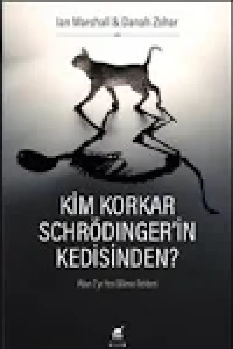 Kim Korkar Schrödingerin Kedisinden? - A'dan Z'ye Yeni Bilimin Rehberi - Danah Zohar