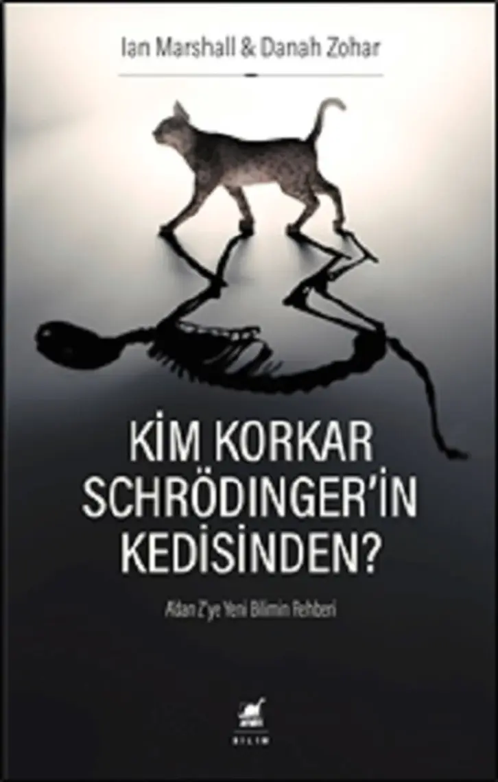 Kim Korkar Schrödingerin Kedisinden? - A'dan Z'ye Yeni Bilimin Rehberi - Danah Zohar