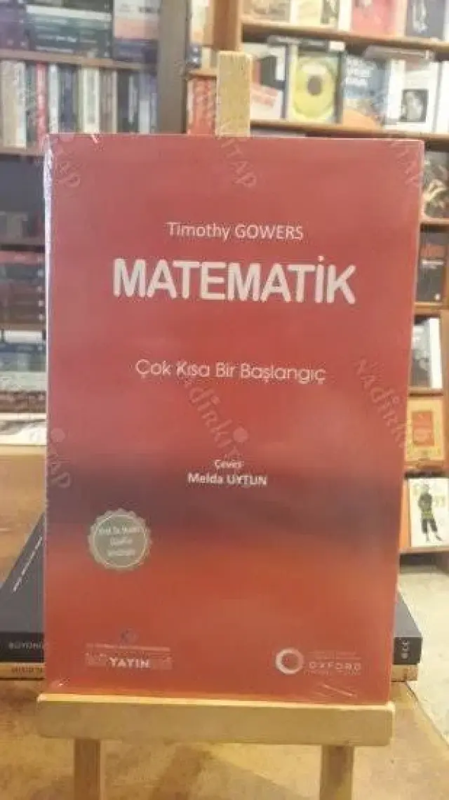 Matematik: Çok Kısa Bir Başlangıç
