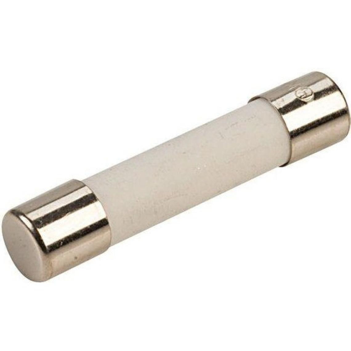 Motorobit 10A 6X30MM Gecikmeli Seramik Sigorta