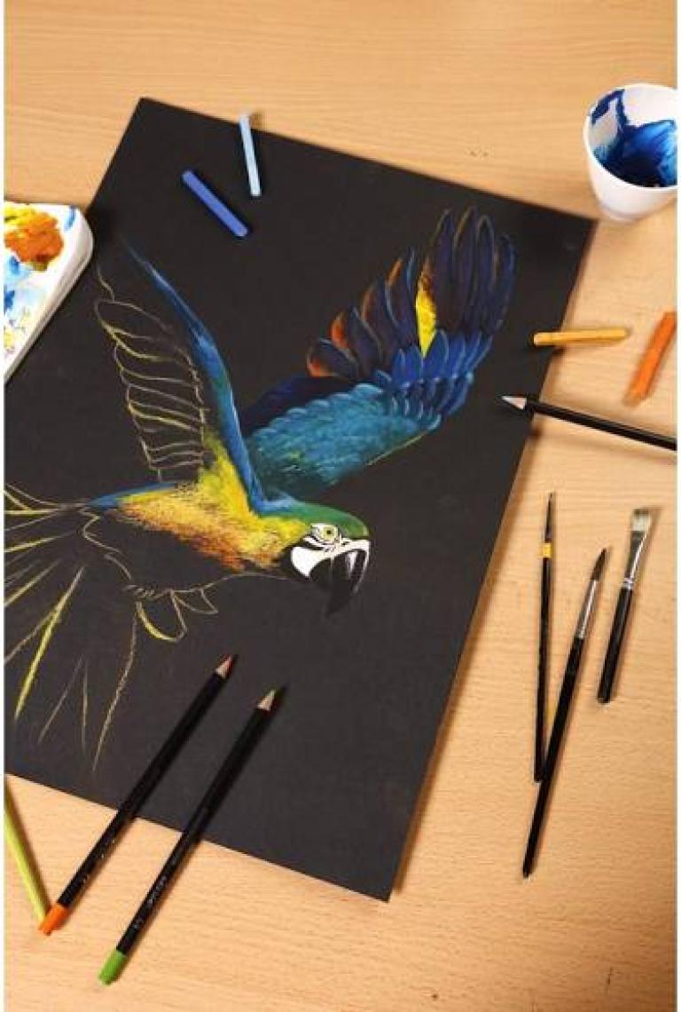 Clairefontaine Paint On Karışık Teknik Blok Karışık Renk A4 250 gr 24 Yaprak