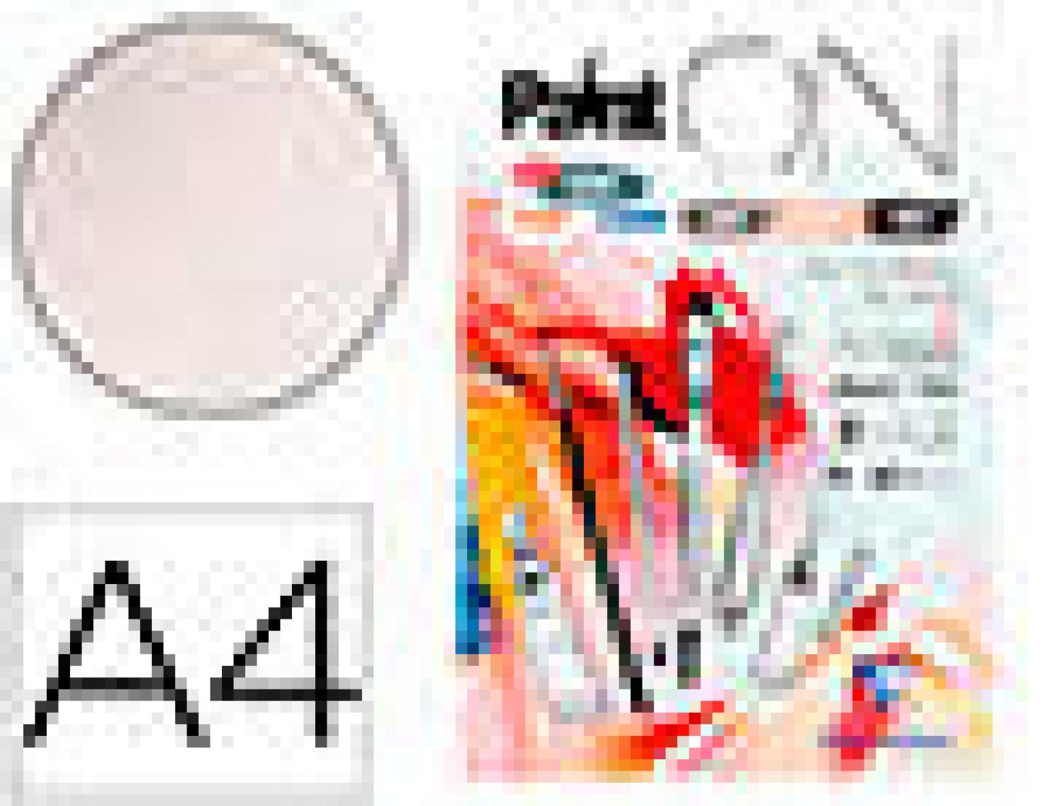 Clairefontaine Paint On Karışık Teknik Blok Karışık Renk A4 250 gr 24 Yaprak
