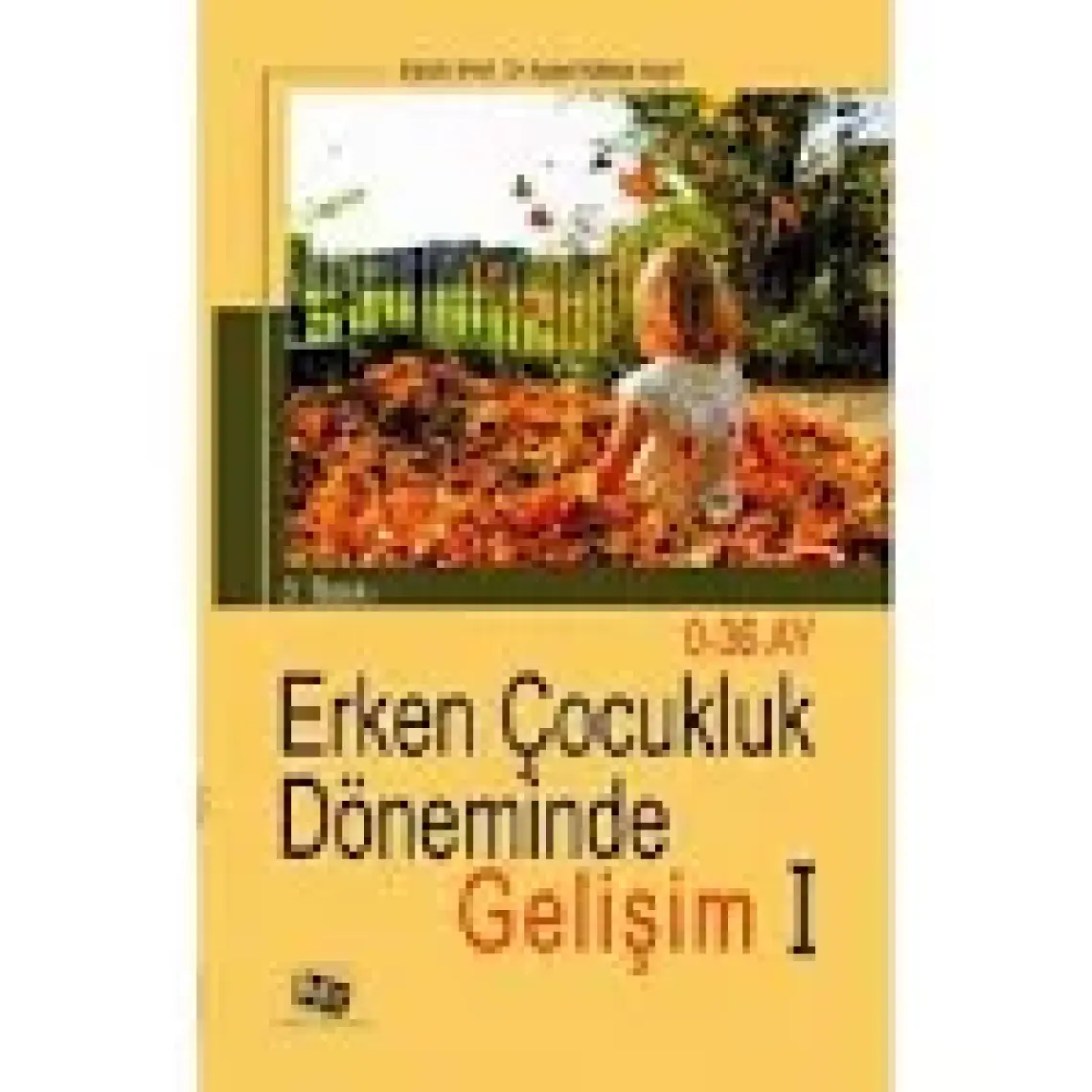 Erken Çocukluk Döneminde Gelişim 1