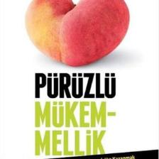 Pürüzlü Mükemmellik