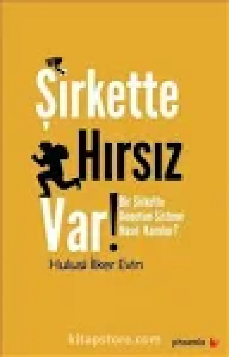 Şirkette Hırsız Var:Bir Şirkette Denetin Sistemi Nasıl Kurulur? - Hulusi İlker Evin