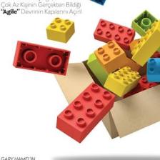 Agile Devri - Stephen Denning