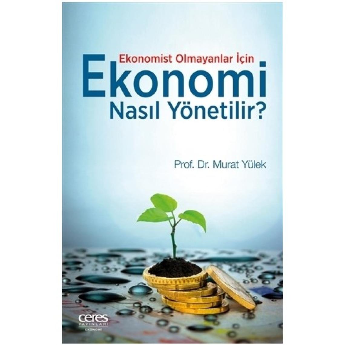 Ekonomist Olmayanlar İçin Ekonomi Nasıl Yönetilir?