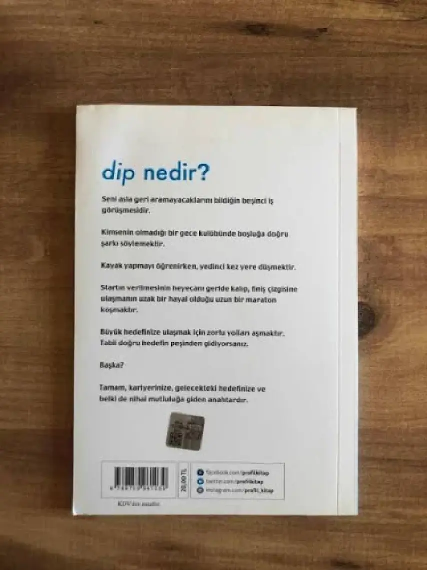 Dip Vazgeçmeyi Ve Vazgeçmemeyi Öğreten Küçük Bir Kitap-Seth Godin