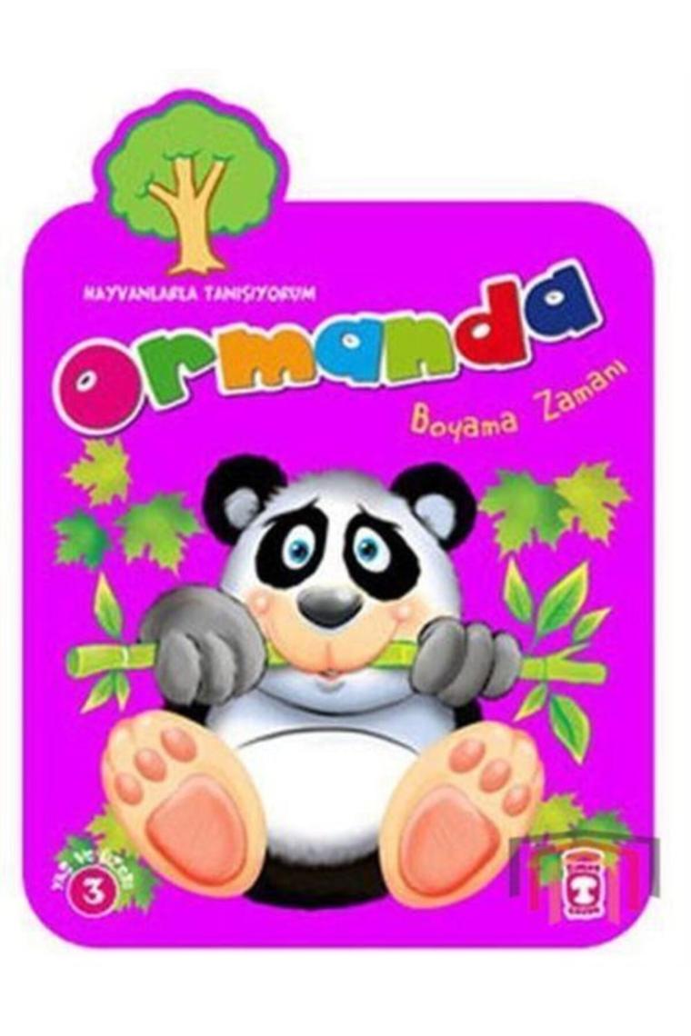 Ormanda Boyama Zamanı Kolektif