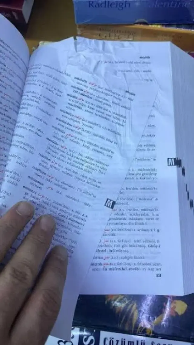 Osmanlıca-Türkçe Ansiklopedik Lûgatciltli  – Ferit Devellioğlu