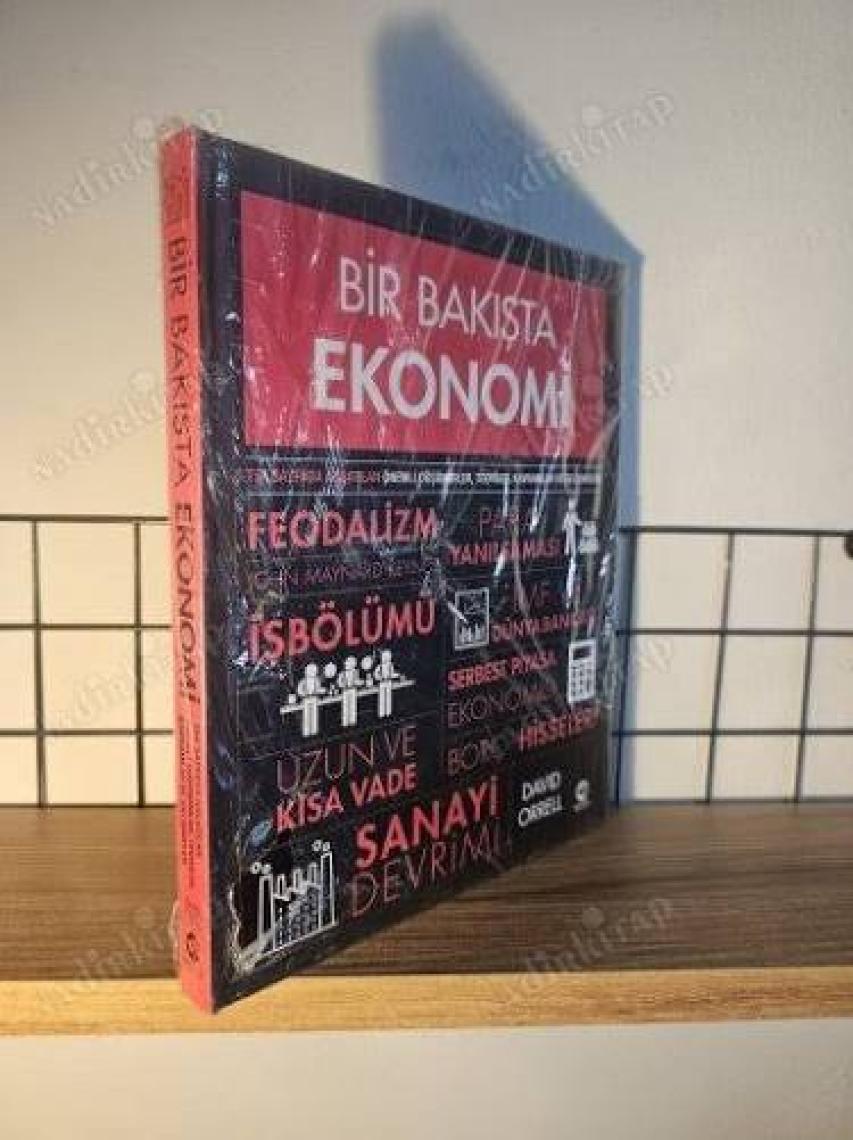 Bir Bakışta Ekonomi (Ciltli) - David Orrell