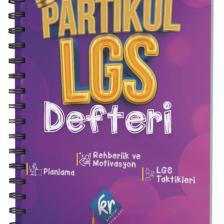 Partikül Lgs Planlama Defteri