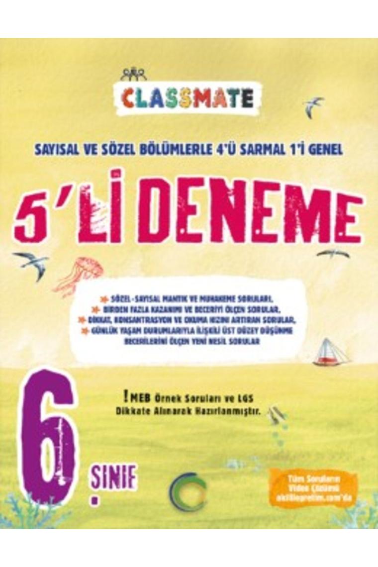 6.sınıf Paket 5 Li Deneme Okyanus
