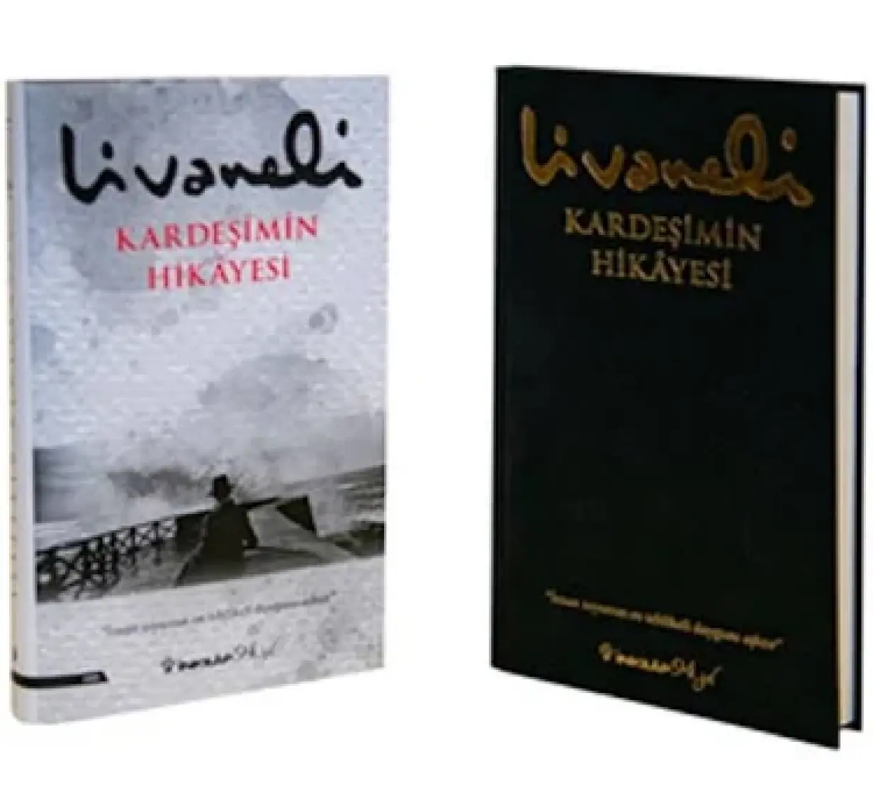 Kardeşimin Hikayesi - Ciltli - Zülfü Livaneli