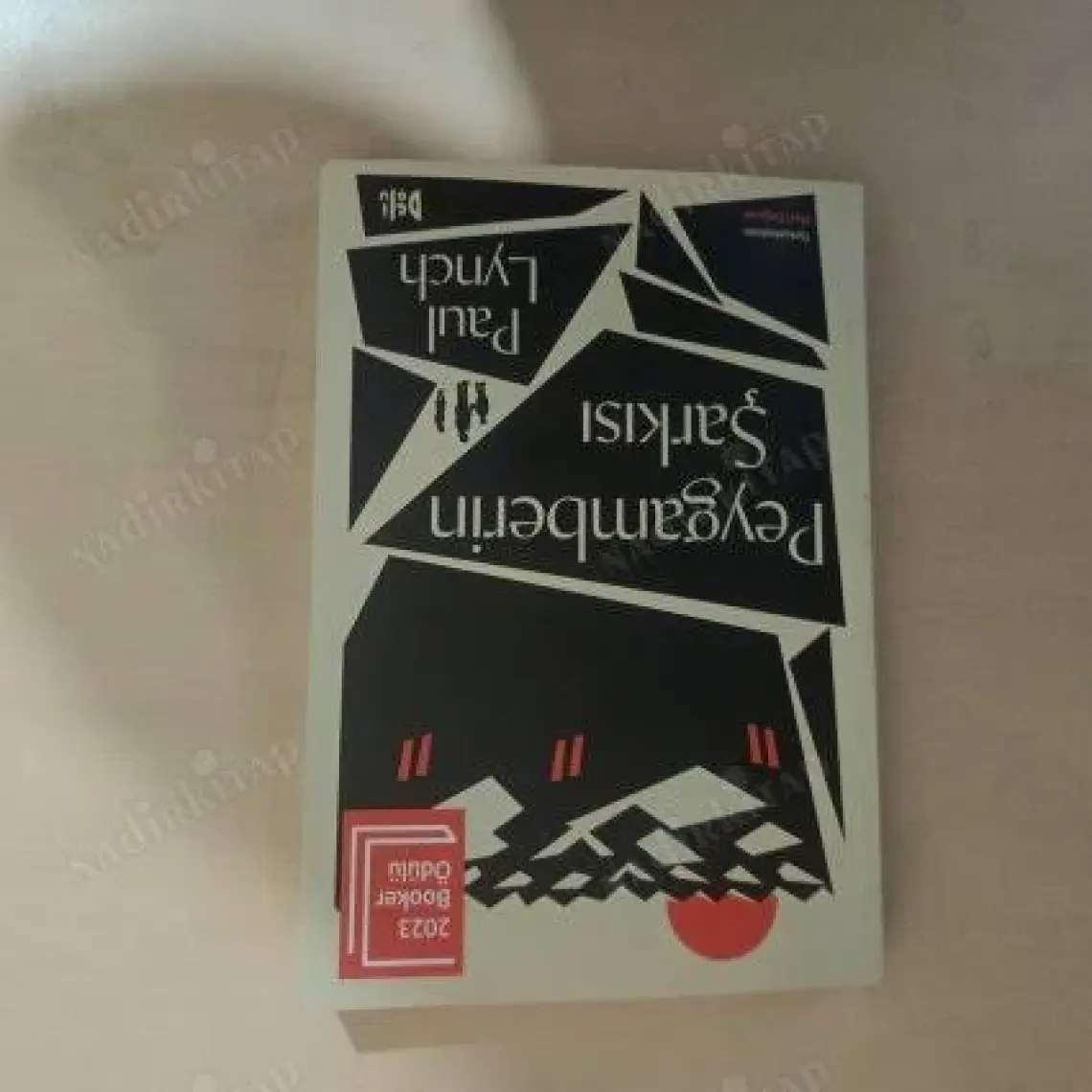 Peygamberin Şarkısı - Paul Lynch