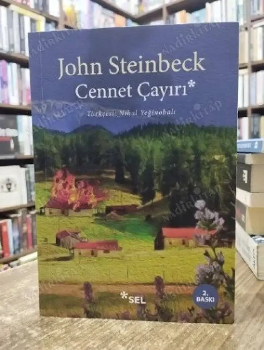 Cennet Çayırı - John Steinbeck