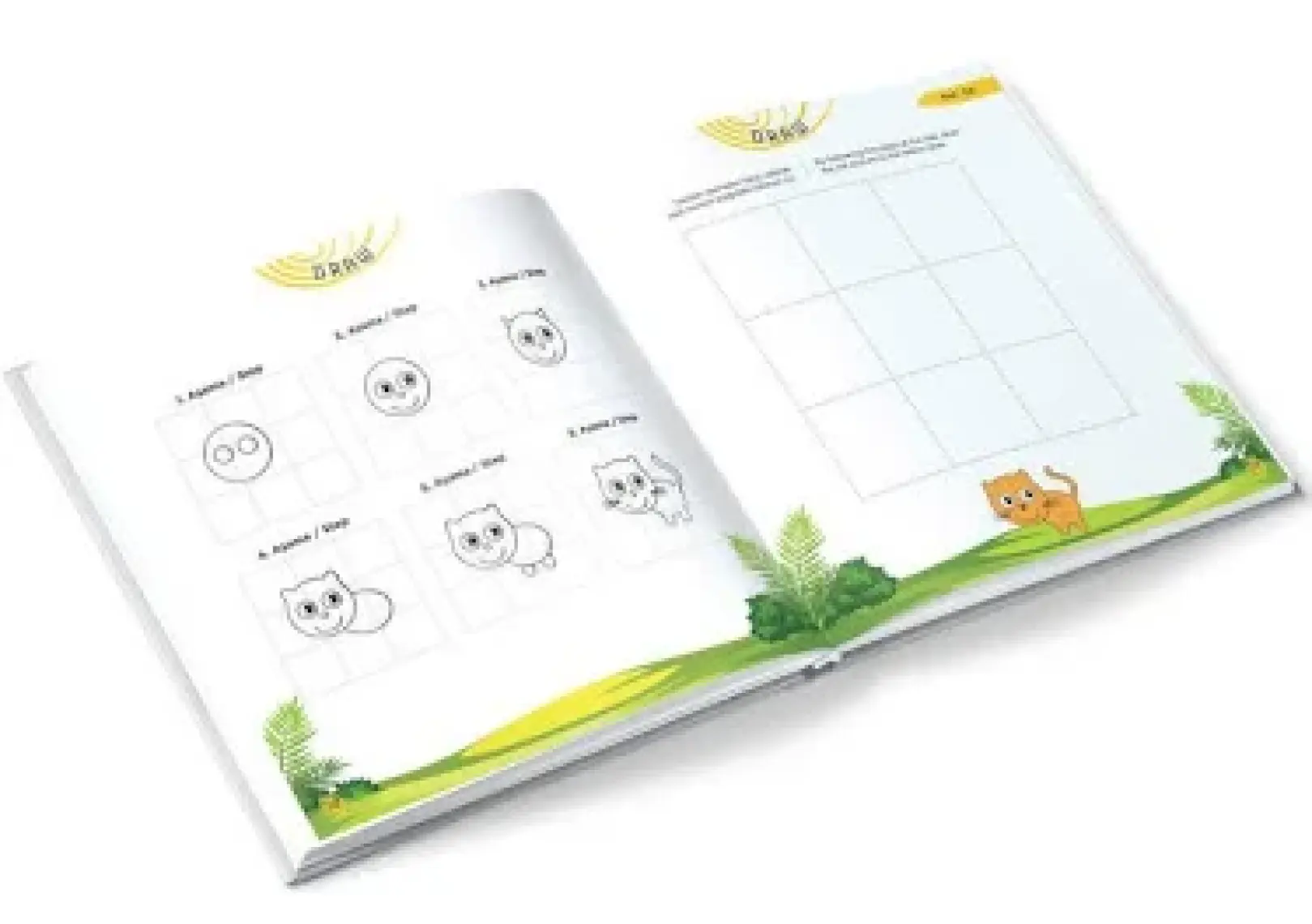 DRAW (6+ Yaş) - IQ, Dikkat ve Yetenek Geliştirme Kitapları Serisi