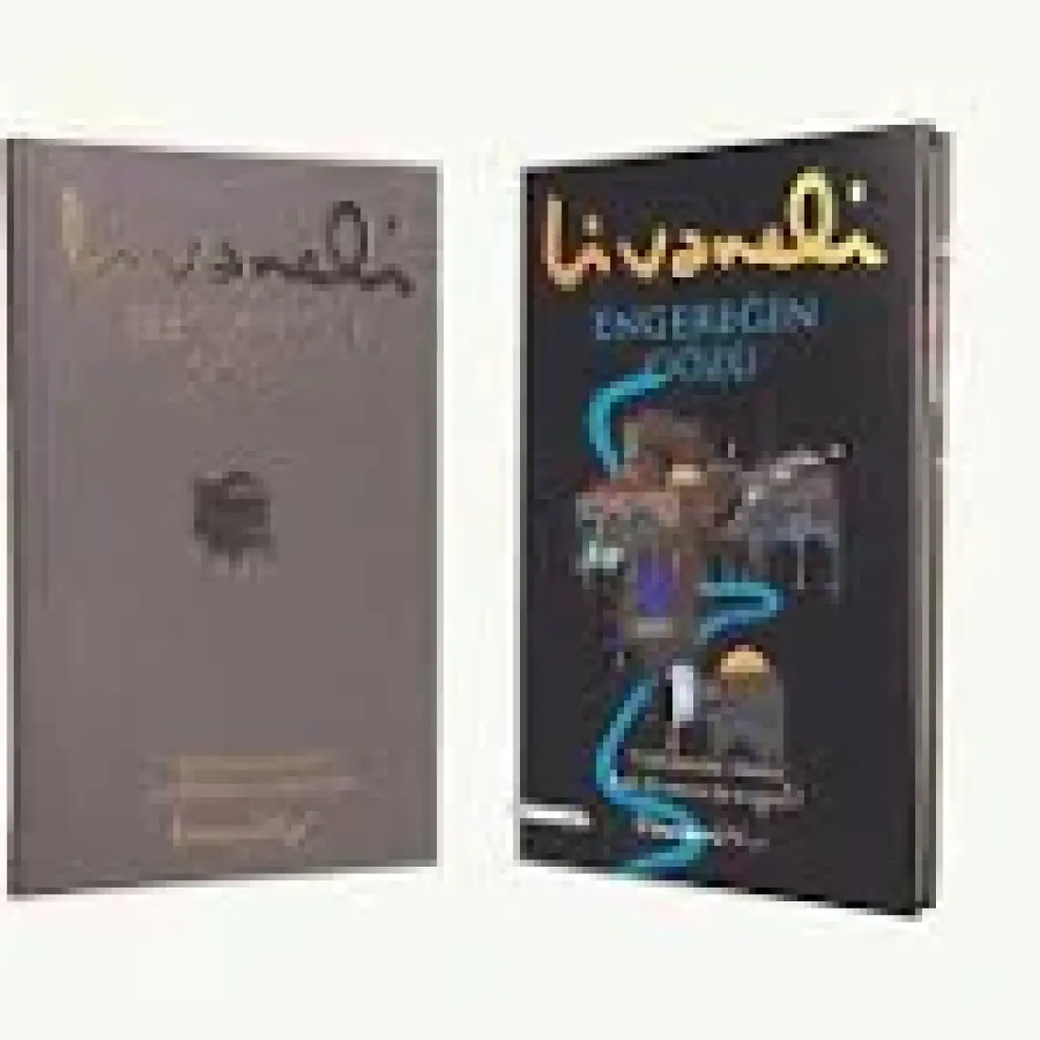 Engereğin Gözü - Ciltli - Zülfü Livaneli