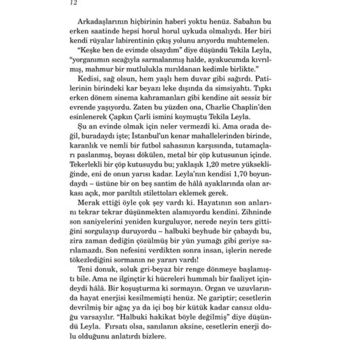 On Dakika: Otuz Sekiz Saniye - Elif Şafak