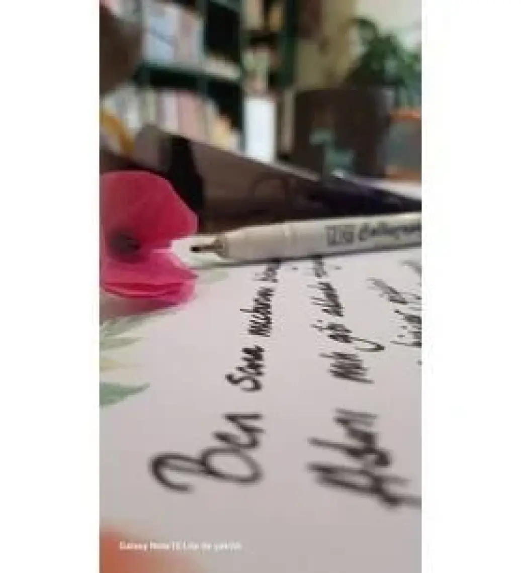 Kıyamet Emeklisi Birinci Cilt - Şule Gürbüz