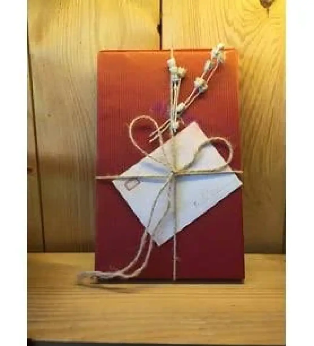 Kıyamet Emeklisi Birinci Cilt - Şule Gürbüz