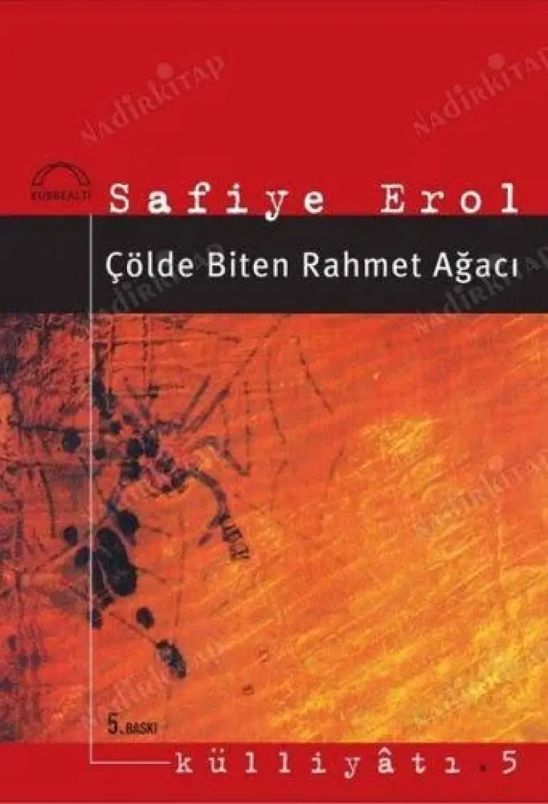Dineyri Papazı-Safiye Erol