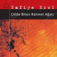 Dineyri Papazı-Safiye Erol