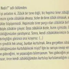 Zübük - Kağnı Gölgesindeki It - Aziz Nesin