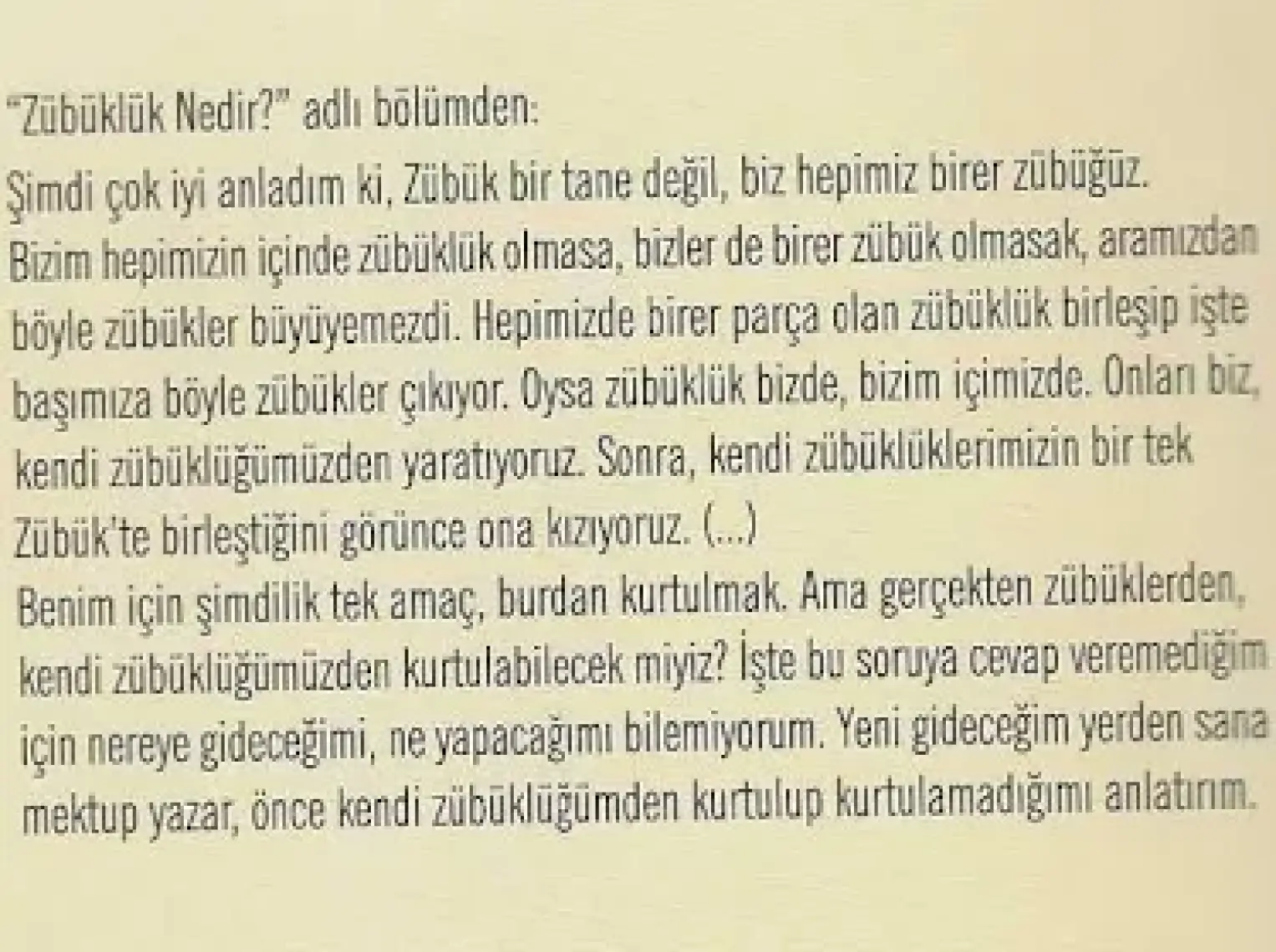 Zübük - Kağnı Gölgesindeki It - Aziz Nesin