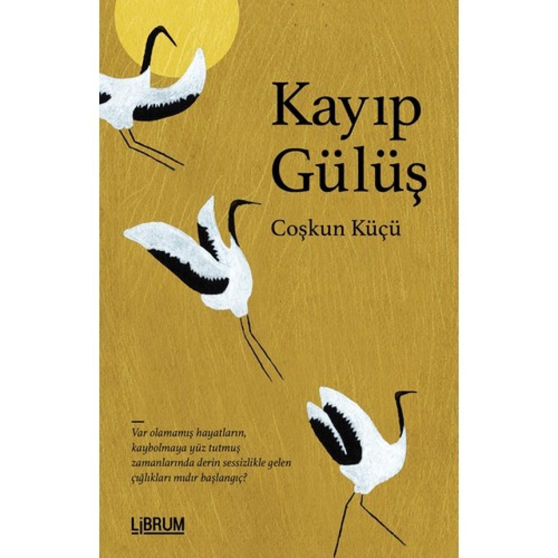 Kayıp Gülüş - Coşkun Küçü