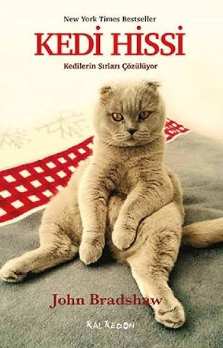 Kedi Hissi: Kedilerin Sırları Çözülüyor - John Bradshaw