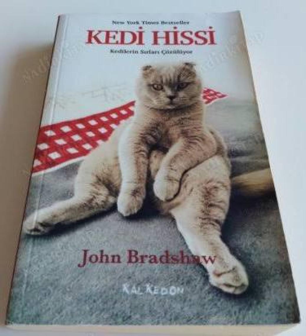 Kedi Hissi: Kedilerin Sırları Çözülüyor - John Bradshaw