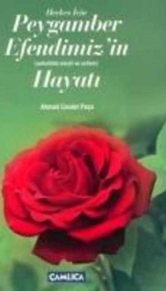 Herkes İçin Peygamber Efendimizin Hayatı - Ahmed Cevdet Paşa