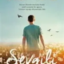 Sevgili - İnci Aral