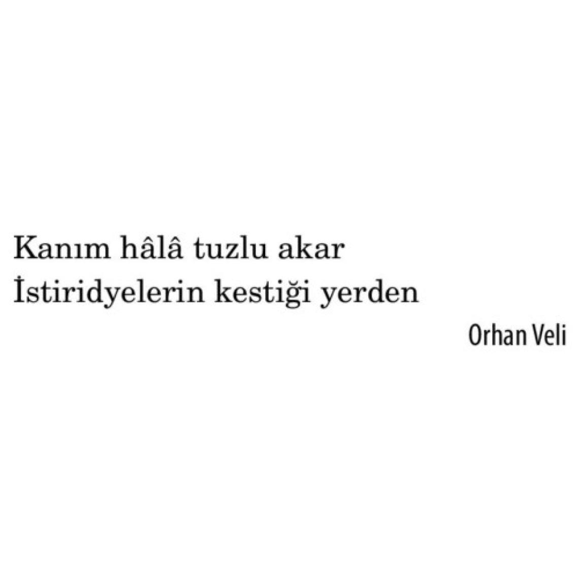 Son Ada - Zülfü Livaneli