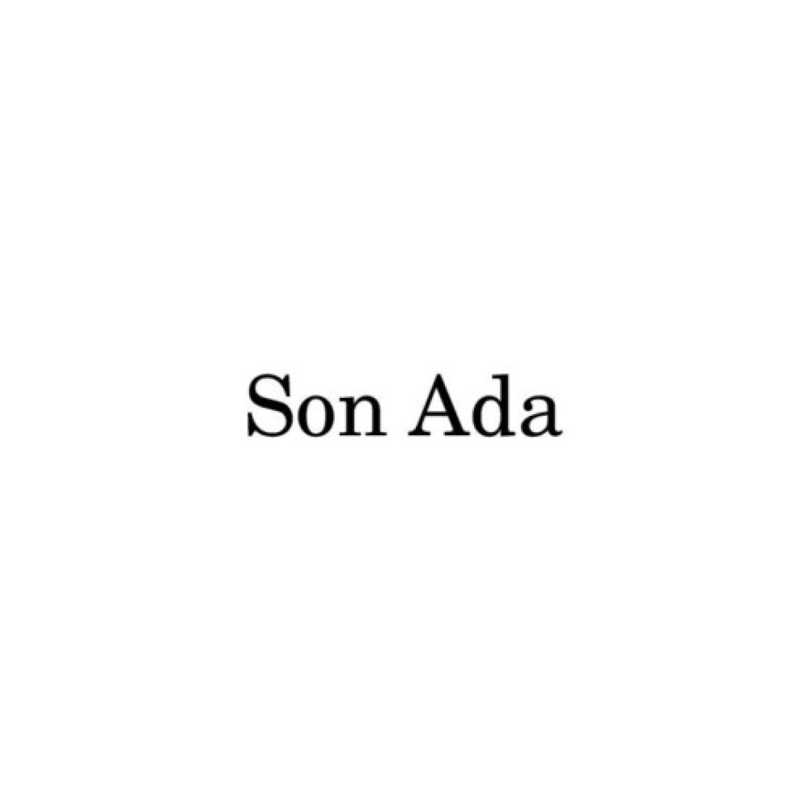 Son Ada - Zülfü Livaneli