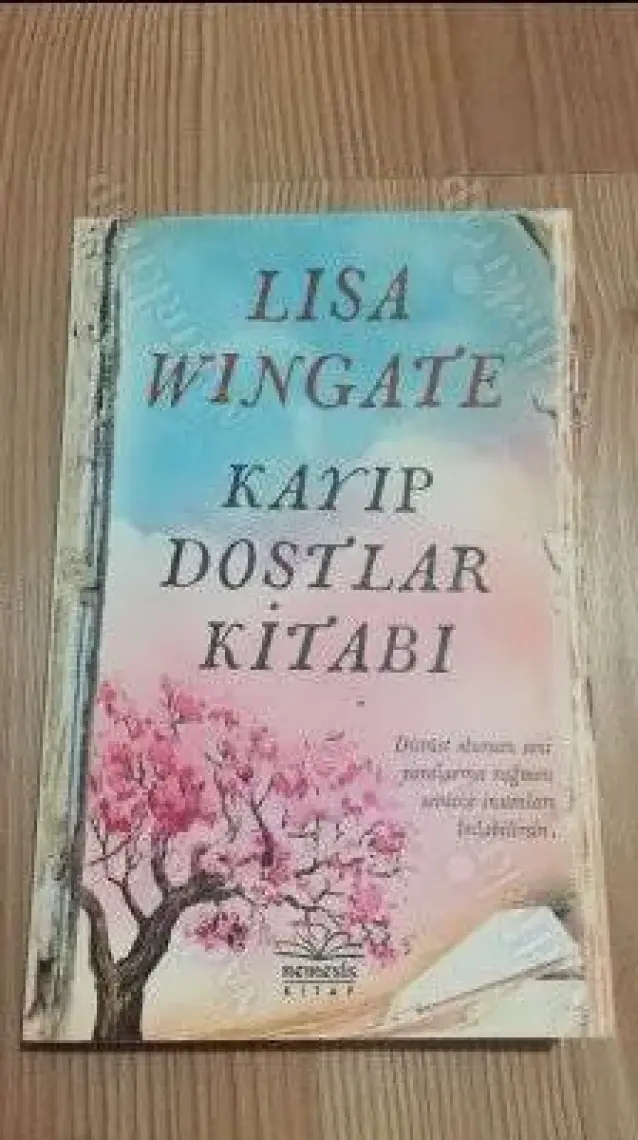 Kayıp Dostlar Kitabı - Lisa Wingate