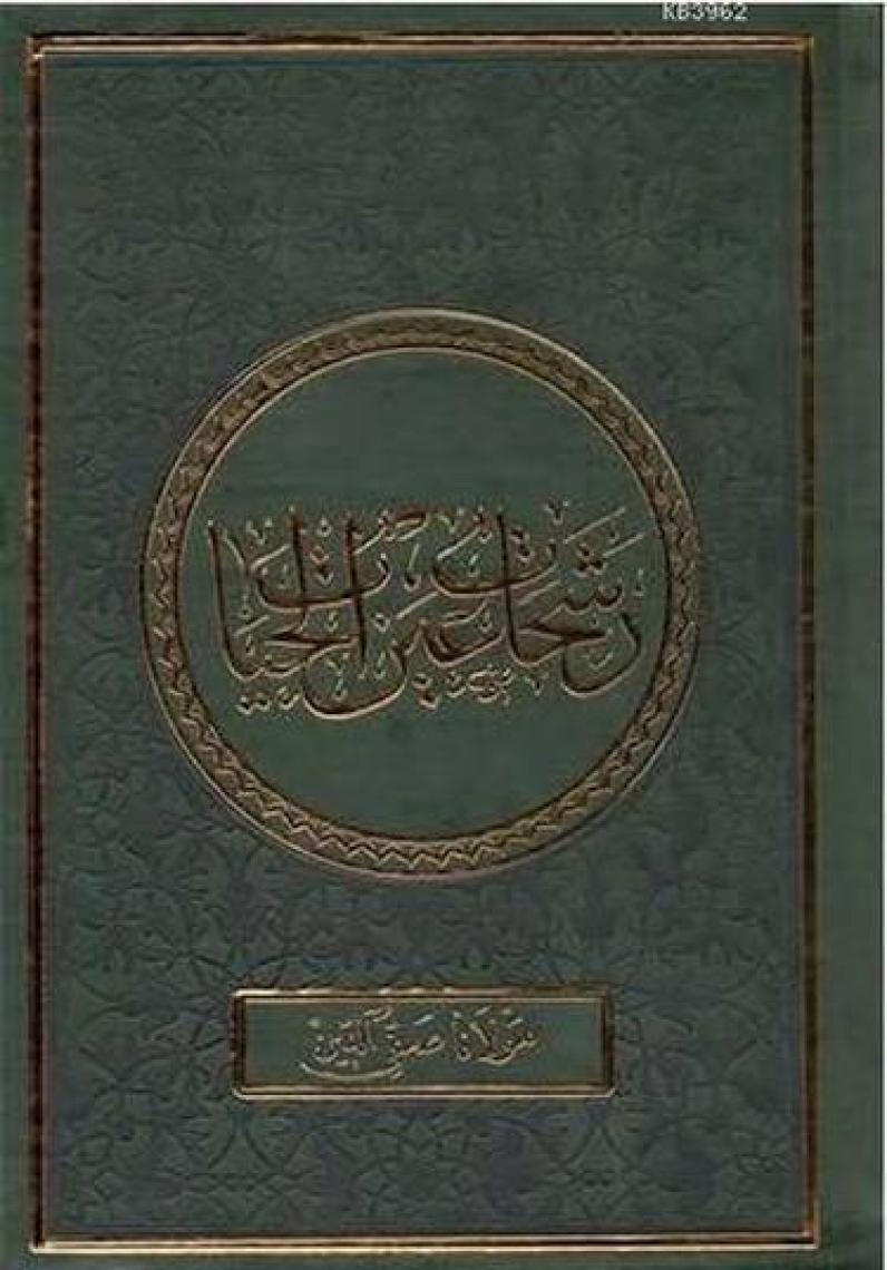 Savaşçı Kadınlar Amazonlar-Jeannine Davis Kimball