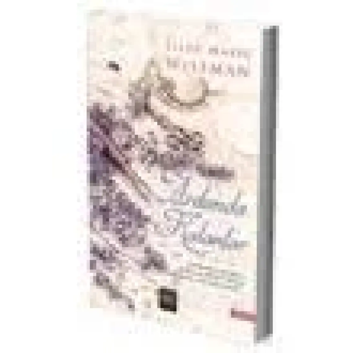 Ardımda Kalanlar - Ellen Marie Wiseman
