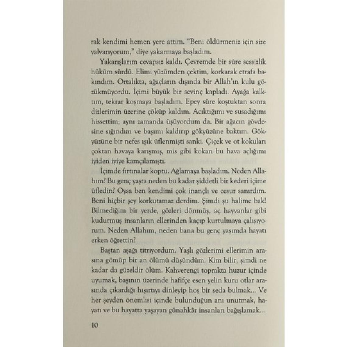 İncir Kuşları - Sinan Akyüz - Sinan Akyüz